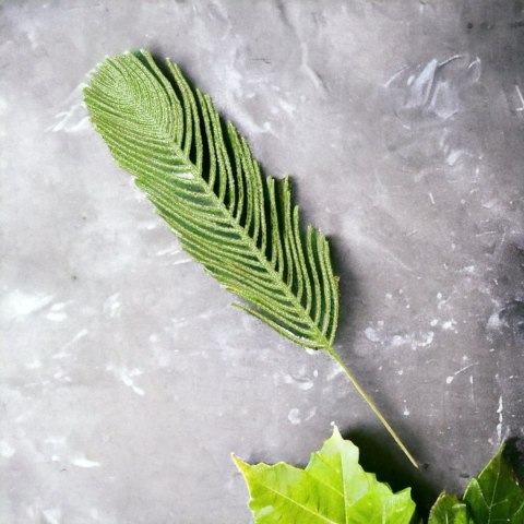 Kwiat ozdoba liść gałązka pawie pióro z brokatem 40 cm oliwka