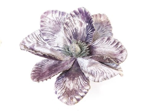 Świąteczny Kwiat Poisencja 23cm Fioletowy