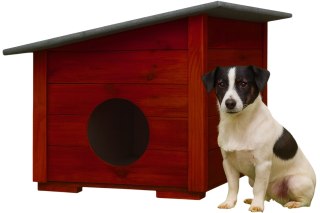 BUDA DREWNIANA OCIEPLANA DLA PSA KOTA PREMIUM S MAŁA PALISANDER
