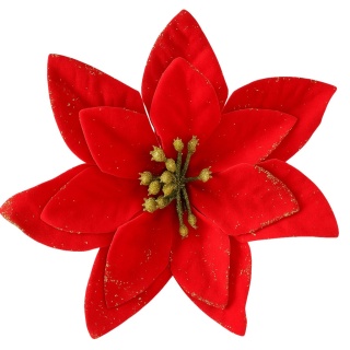 Poinsecja Gwiazda Betlejemska ozdoba świąteczna kwiat czerwony
