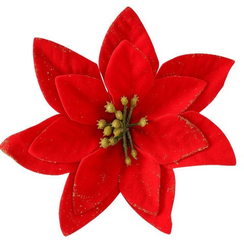Poinsecja Gwiazda Betlejemska ozdoba świąteczna kwiat czerwony