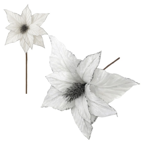 Gwiazda betlejemska poinsecja na piku kwiat ozdoba dekoracja świąteczna