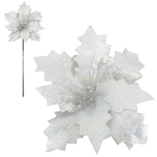 Gwiazda betlejemska poinsecja na piku kwiat ozdoba dekoracja świąteczna