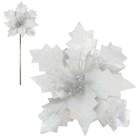 Gwiazda betlejemska poinsecja na piku kwiat ozdoba dekoracja świąteczna