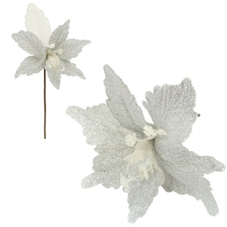 Gwiazda betlejemska poinsecja na piku kwiat ozdoba dekoracja świąteczna