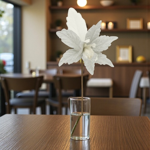 Gwiazda betlejemska poinsecja na piku kwiat ozdoba dekoracja świąteczna