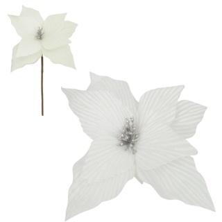 Gwiazda betlejemska poinsecja na piku kwiat ozdoba dekoracja świąteczna