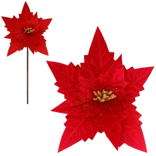 Gwiazda betlejemska poinsecja na piku kwiat ozdoba dekoracja świąteczna