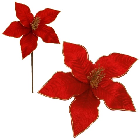 Gwiazda betlejemska poinsecja na piku kwiat ozdoba dekoracja świąteczna