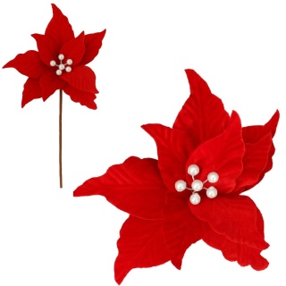 Gwiazda betlejemska poinsecja na piku kwiat ozdoba dekoracja świąteczna