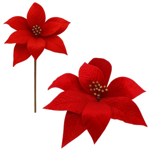 Gwiazda betlejemska poinsecja na piku kwiat ozdoba dekoracja świąteczna