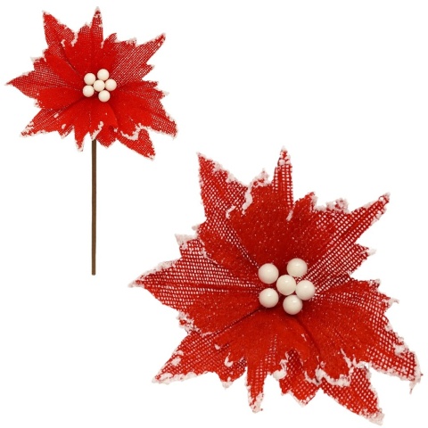 Gwiazda betlejemska poinsecja na piku kwiat ozdoba dekoracja świąteczna