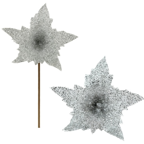 Gwiazda betlejemska poinsecja na piku kwiat ozdoba dekoracja świąteczna