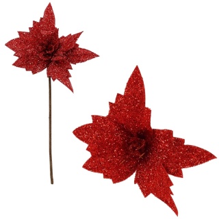 Gwiazda betlejemska poinsecja na piku kwiat ozdoba dekoracja świąteczna