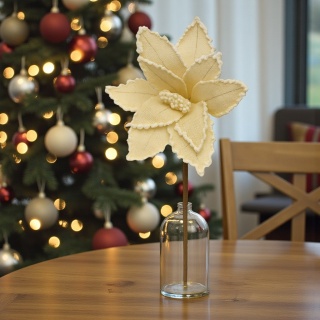 Gwiazda betlejemska poinsecja na piku kwiat ozdoba dekoracja świąteczna