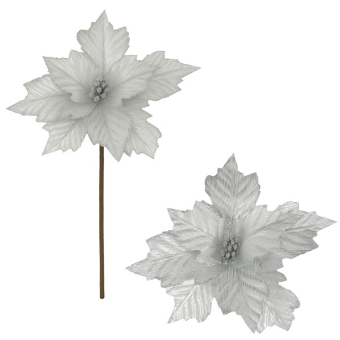 Gwiazda betlejemska poinsecja na piku kwiat ozdoba dekoracja świąteczna