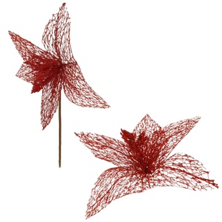 Gwiazda betlejemska poinsecja na piku kwiat ozdoba dekoracja świąteczna