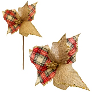 Gwiazda betlejemska poinsecja na piku kwiat ozdoba dekoracja świąteczna