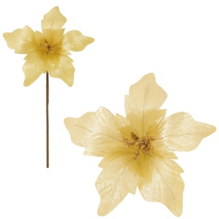 Gwiazda betlejemska poinsecja na piku kwiat ozdoba dekoracja świąteczna