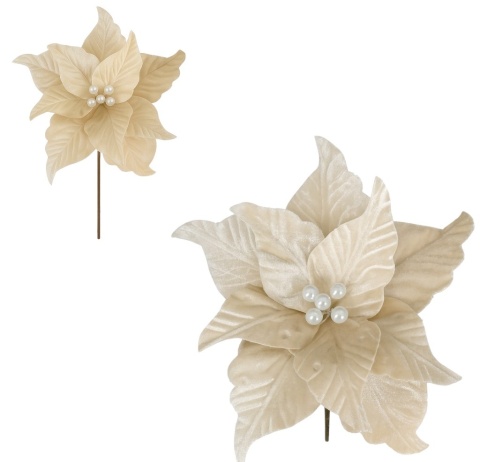 Gwiazda betlejemska poinsecja na piku kwiat ozdoba dekoracja świąteczna