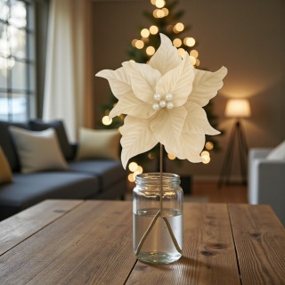 Gwiazda betlejemska poinsecja na piku kwiat ozdoba dekoracja świąteczna