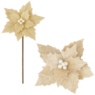 Gwiazda betlejemska poinsecja na piku kwiat ozdoba dekoracja świąteczna