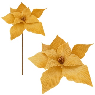 Gwiazda betlejemska poinsecja na piku kwiat ozdoba dekoracja świąteczna