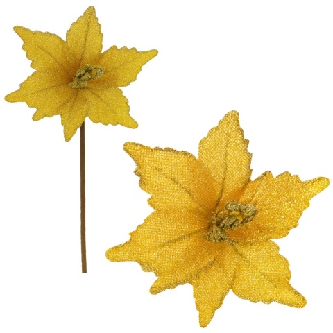 Gwiazda betlejemska poinsecja na piku kwiat ozdoba dekoracja świąteczna