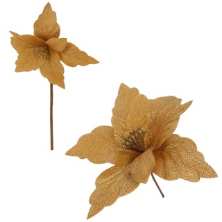 Gwiazda betlejemska poinsecja na piku kwiat ozdoba dekoracja świąteczna