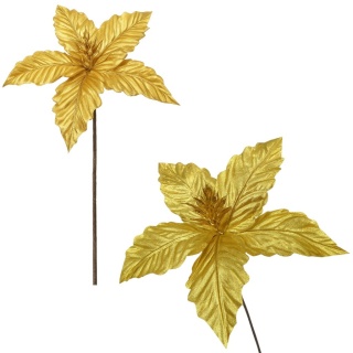 Gwiazda betlejemska poinsecja na piku kwiat ozdoba dekoracja świąteczna