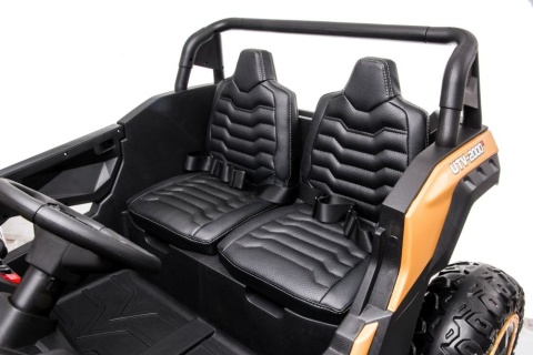 Auto Na Akumulator A032 24V14Ah EVA Złote
