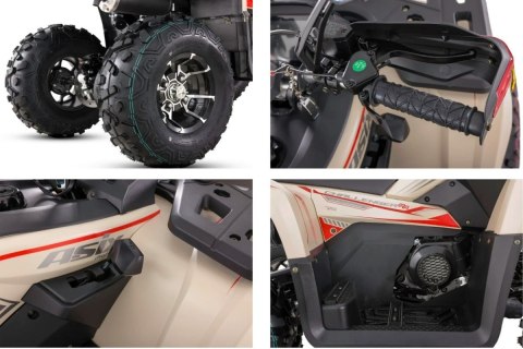 Quad ASIX CHALLENGER 250 4T T3B homologacja drogowa zielony